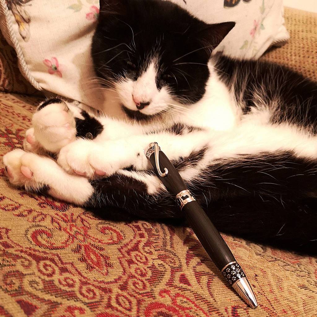 Cat-Themed Ballpoint Pen
