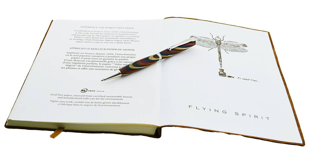 Handmade slim Rainbow wood ballpoint pen with platinum trim from Irish Pens