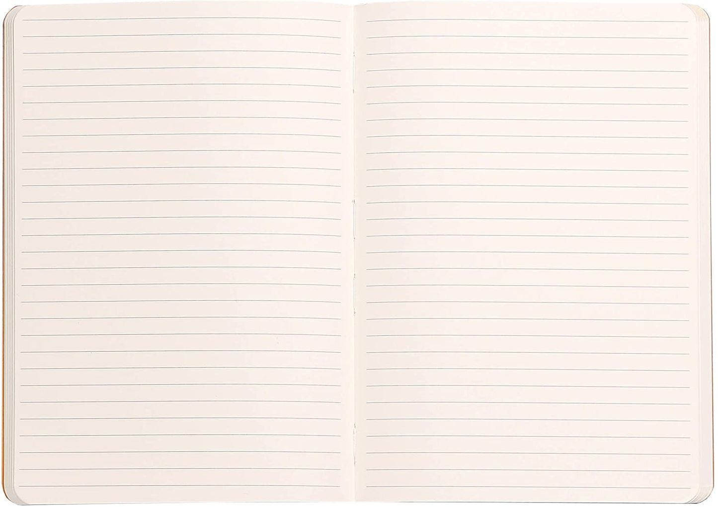 Rhodia notebook Sage Italian imitation cover ruled lines